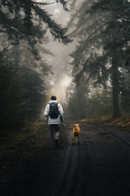 30 CINEMATIC PREMIUM PRESETS PACK