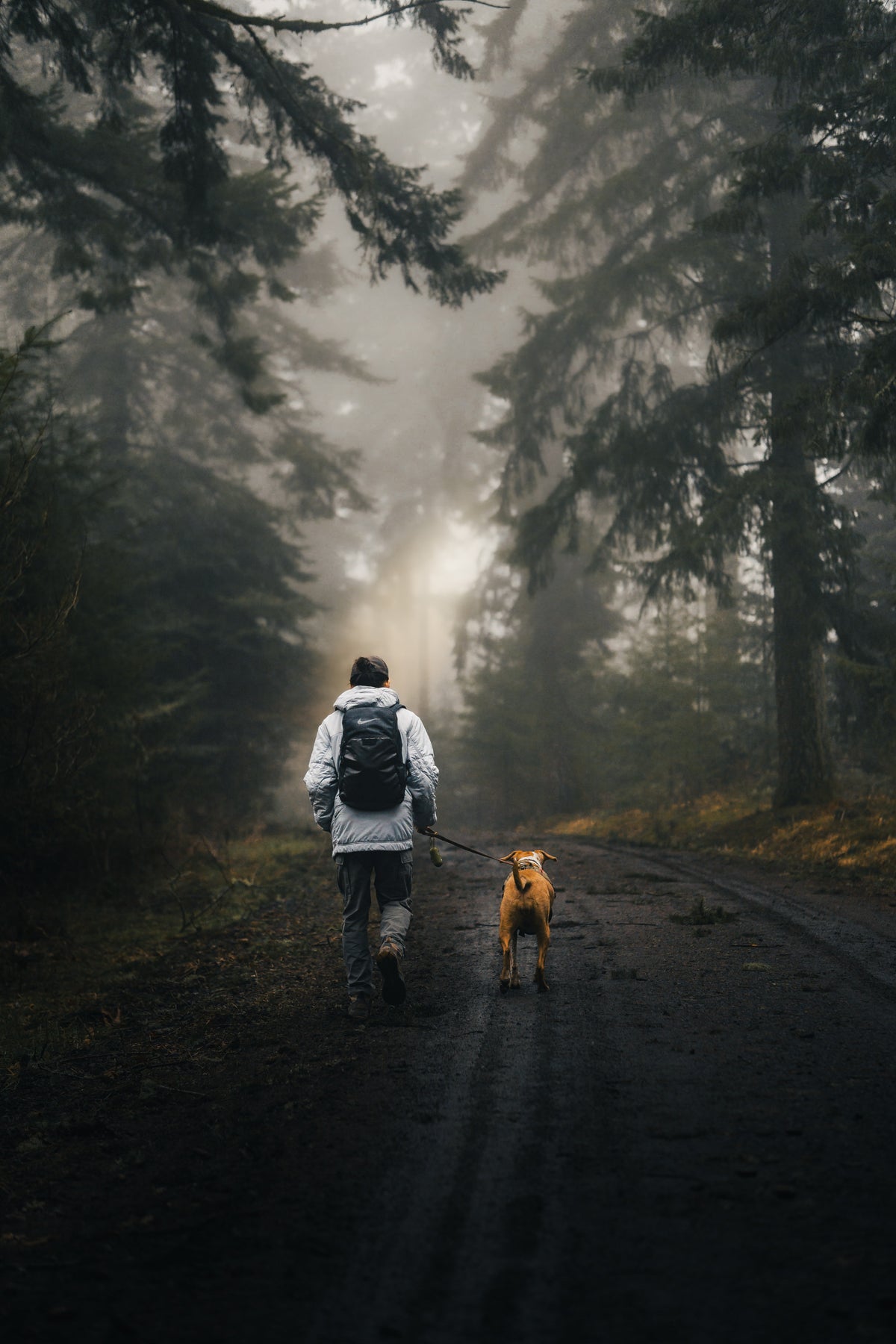 30 CINEMATIC PREMIUM PRESETS PACK