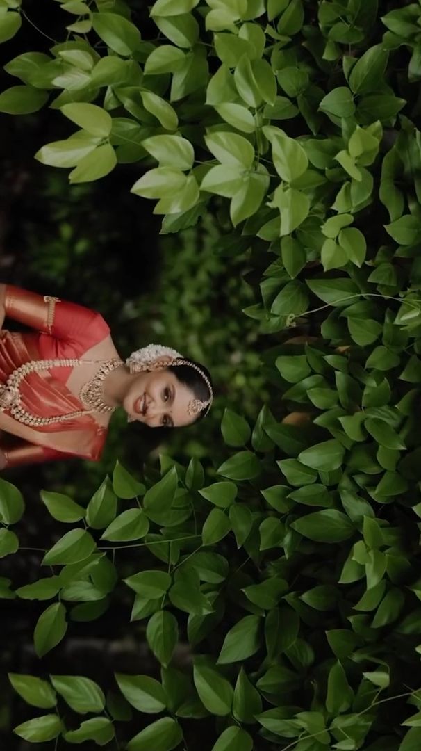 50 PREMIUM WEDDING VIDEO LUTS PACK (CUBE FILES)